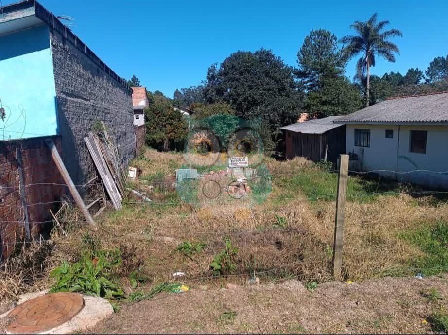 🏡 TERRENO À VENDA – TIMBU VELHO | CAMPINA GRANDE DO SUL/PR - foto 2